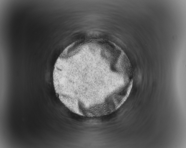 X0000087560619200705251801