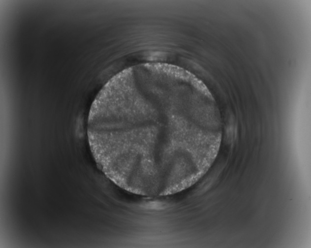 X0000087560620200705251801