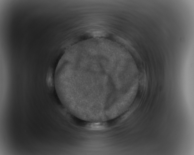 X0000087560622200705251801