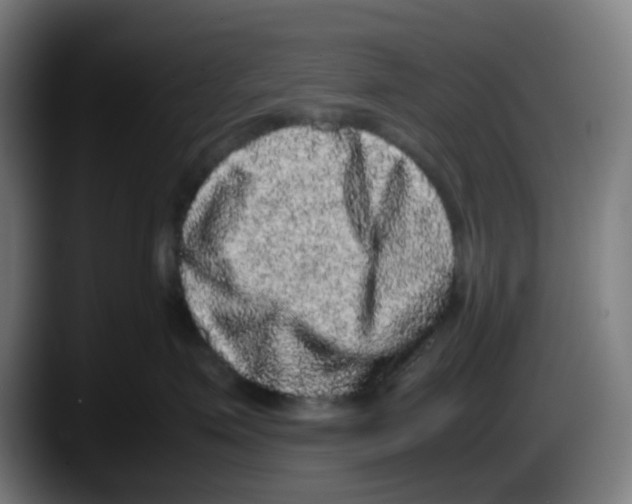 X0000087560623200705251801