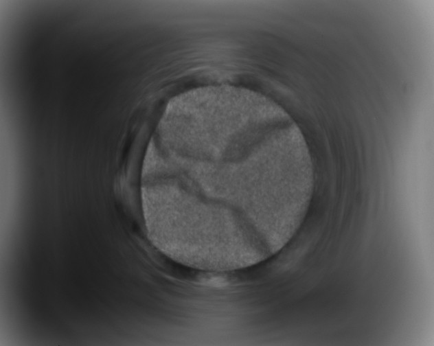 X0000087560624200705251801
