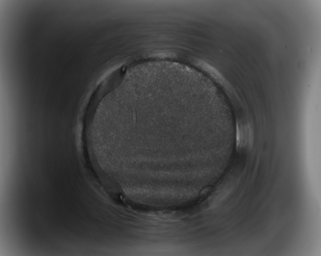 X0000087560627200705251801