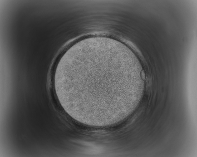 X0000087560628200705251801