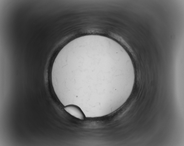 X0000087560629200705251801