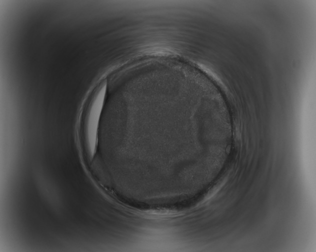 X0000087560630200705251801