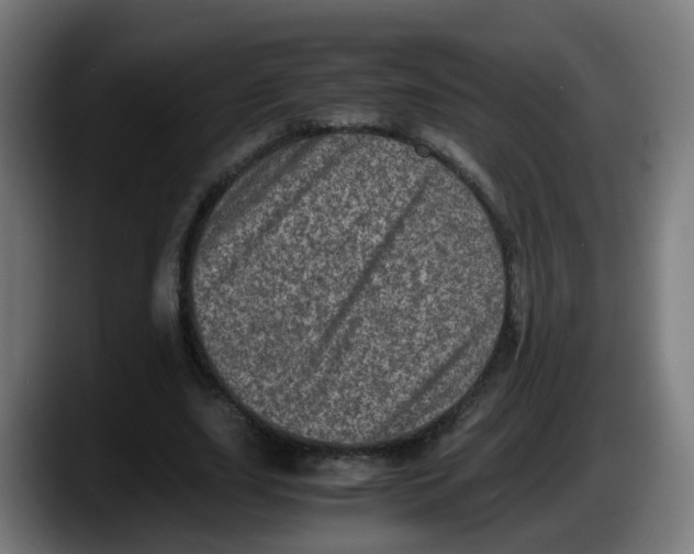 X0000087560631200705251801