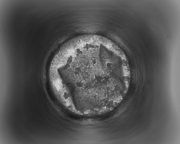 X0000087560634200705251801