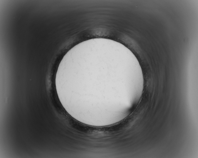 X0000087560635200705251801