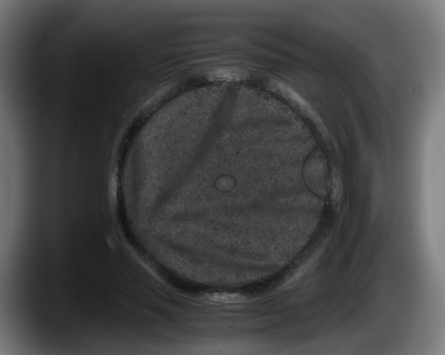 X0000087560637200705251801