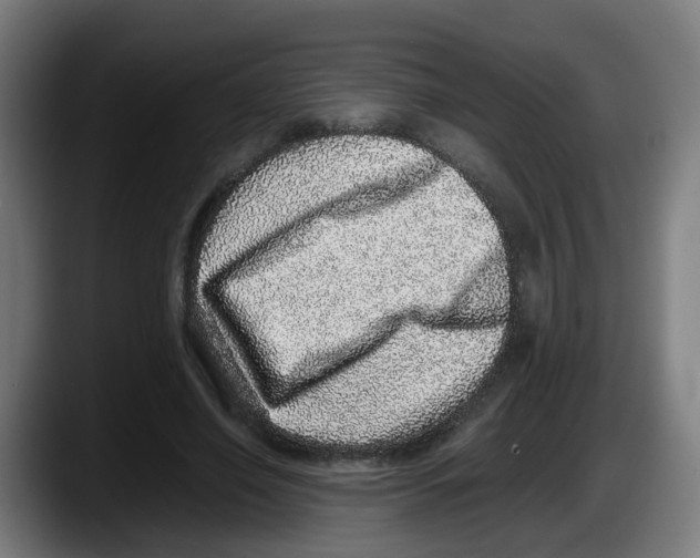 X0000087560638200705251801