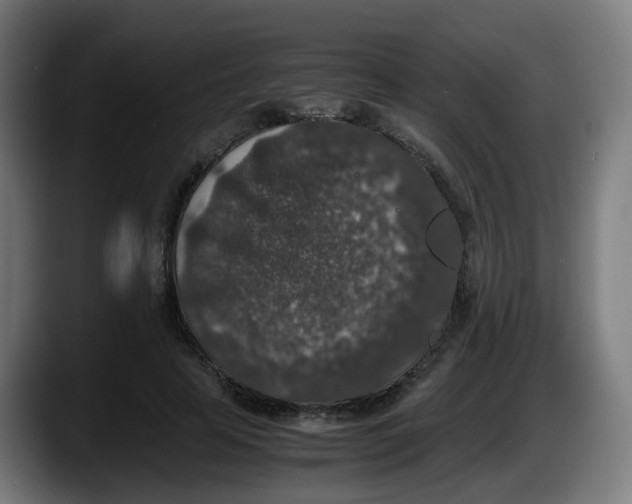 X0000087560641200705251801