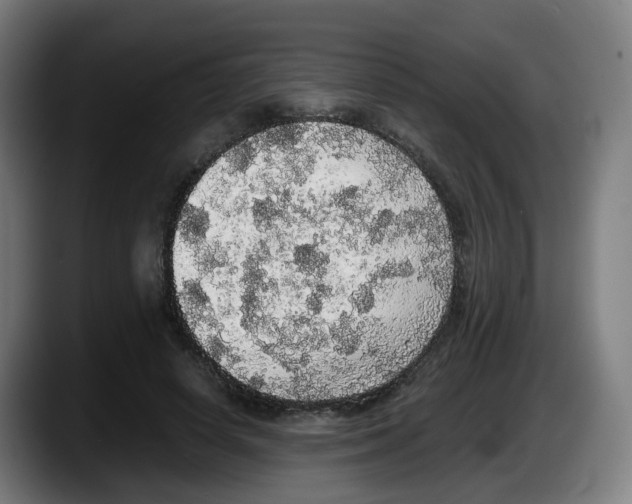 X0000087560642200705251801