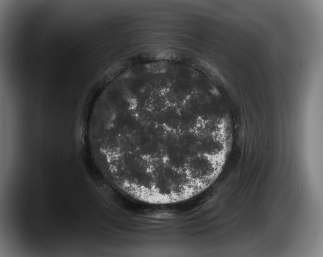 X0000087560643200705251801