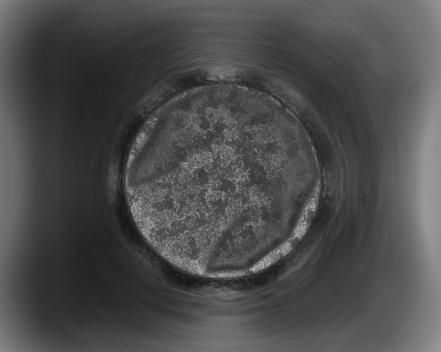 X0000087560648200705251801