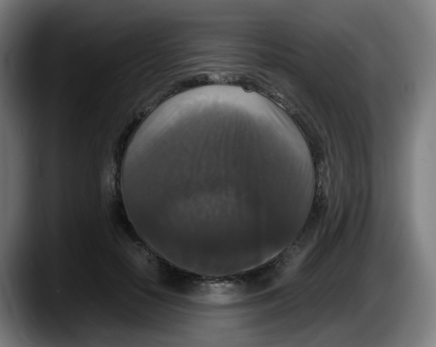 X0000087560650200705251801