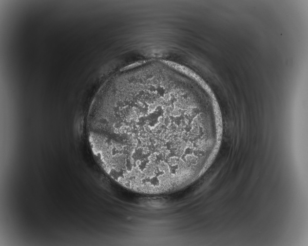 X0000087560652200705251801