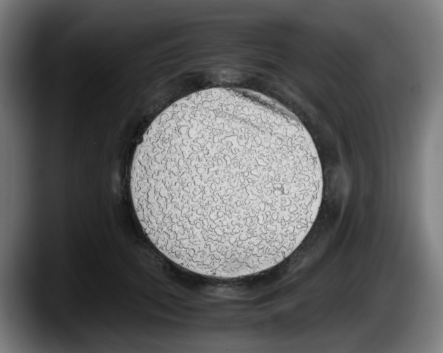 X0000087560655200705251801
