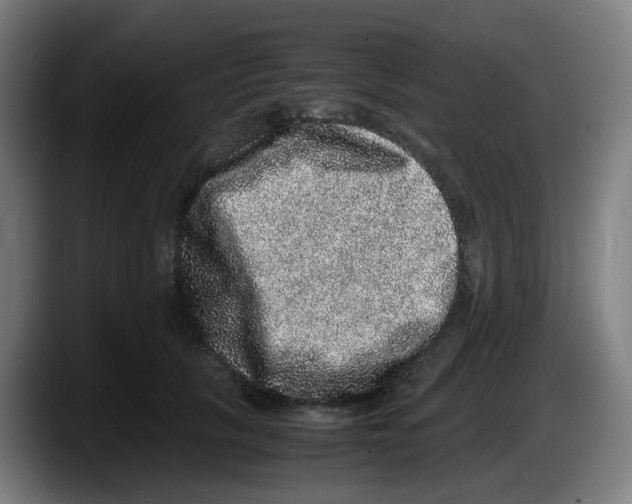 X0000087560657200705251801