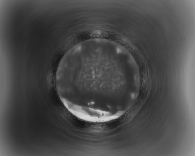 X0000087560659200705251801