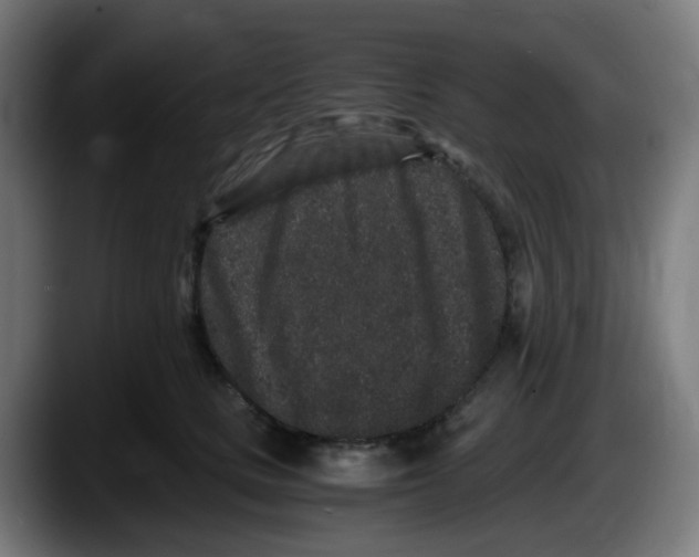 X0000087560661200705251801