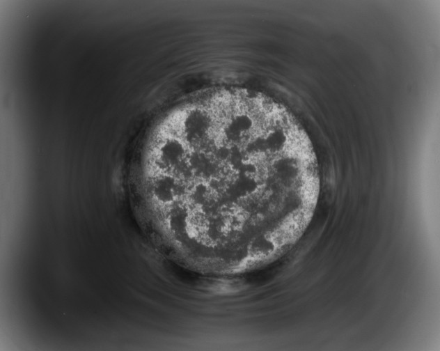 X0000087560663200705251801