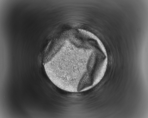 X0000087560664200705251801