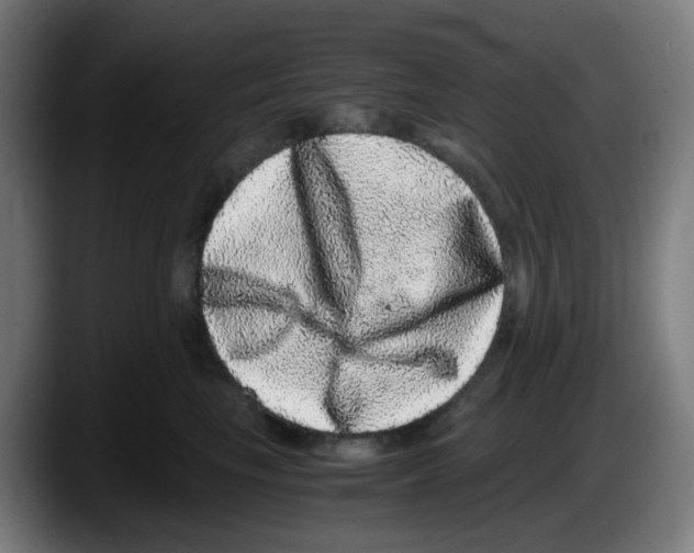 X0000087560665200705251801