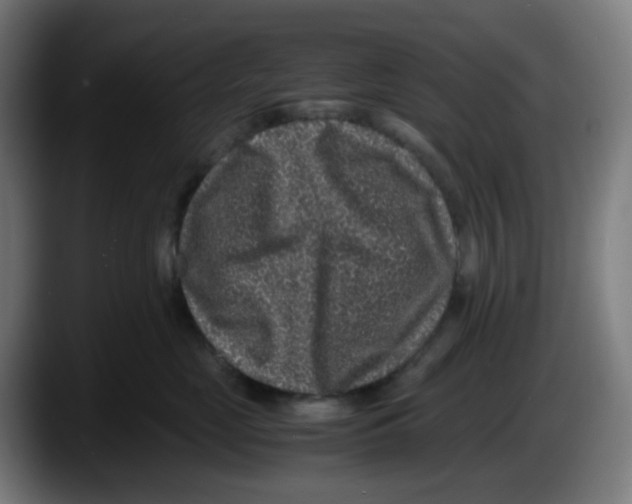 X0000087560669200705251801