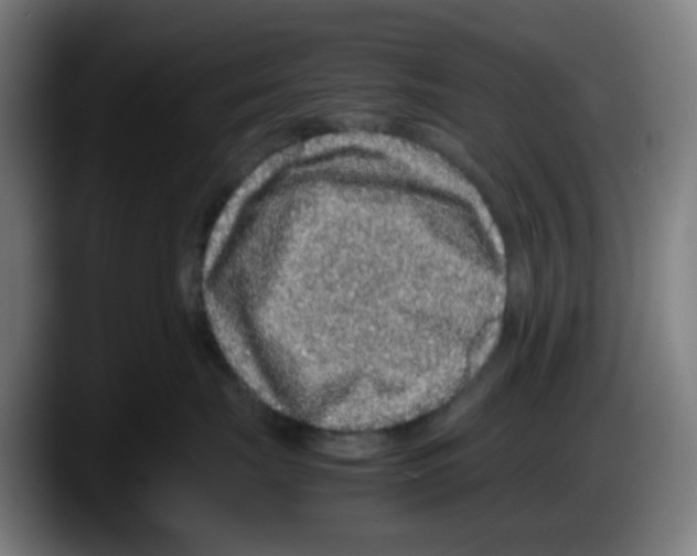 X0000087560671200705251801