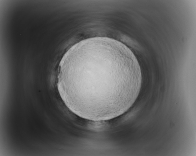 X0000087560672200705251801