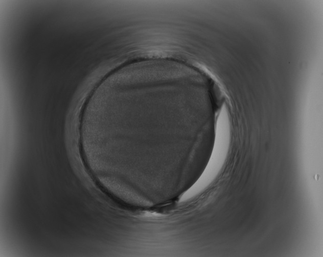 X0000087560673200705251801