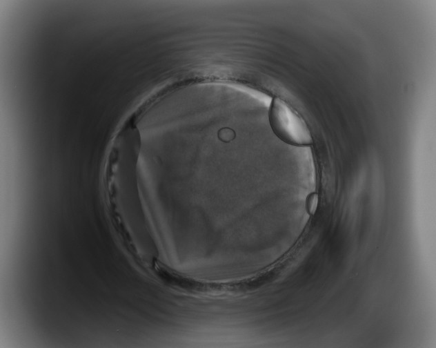 X0000087560674200705251801