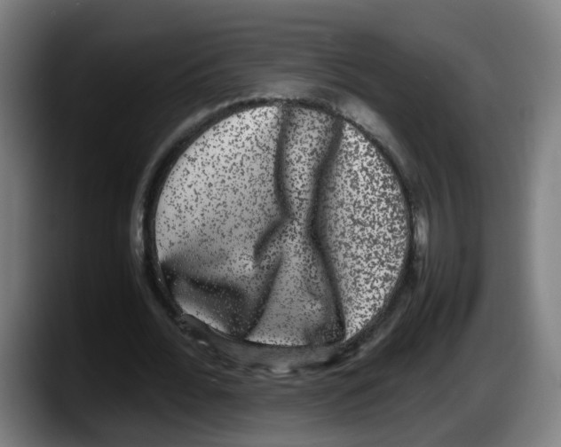 X0000087560676200705251801