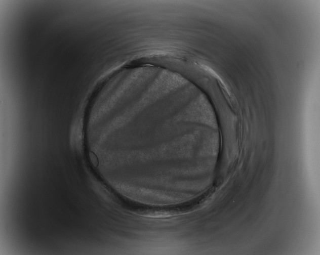 X0000087560677200705251801