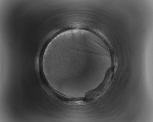 X0000087560678200705251801