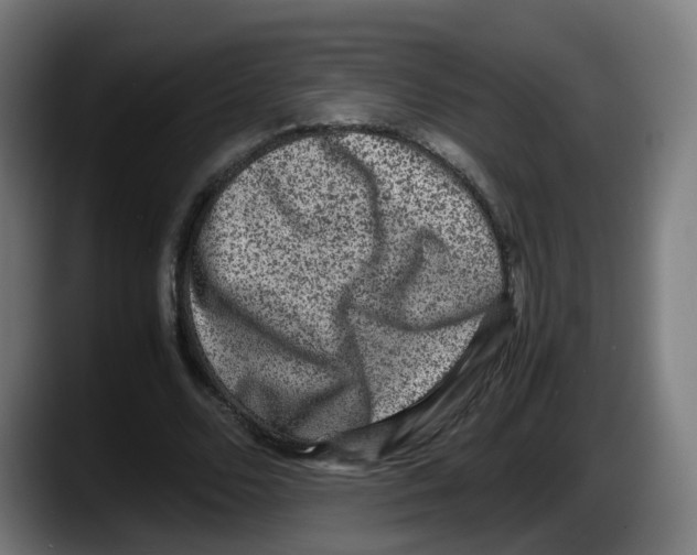 X0000087560680200705251801