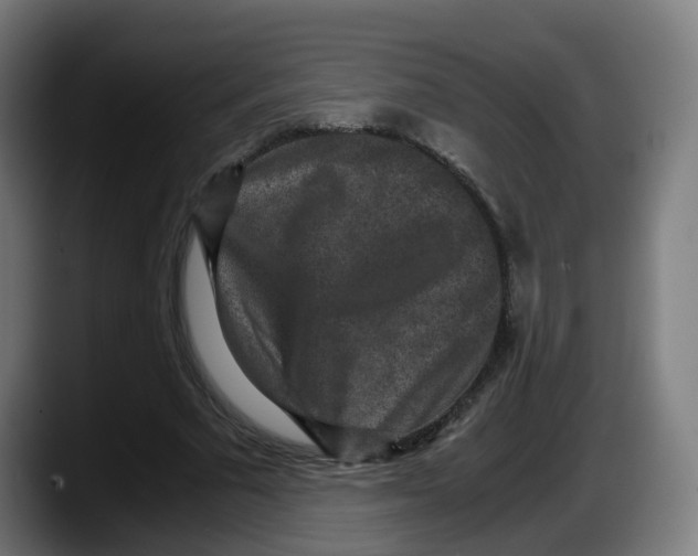 X0000087560681200705251801