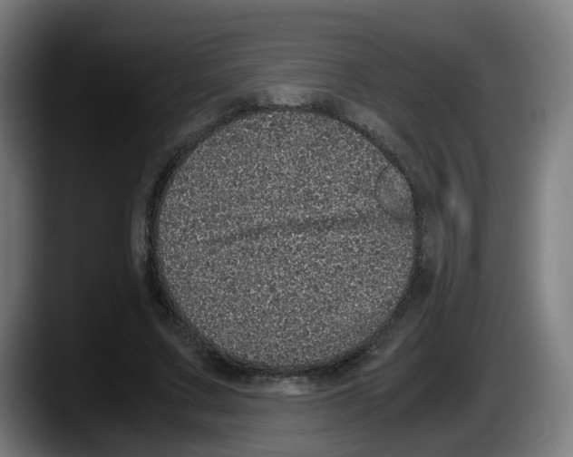 X0000087560683200705251801