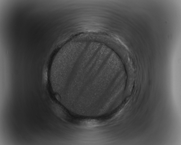 X0000087560685200705251801