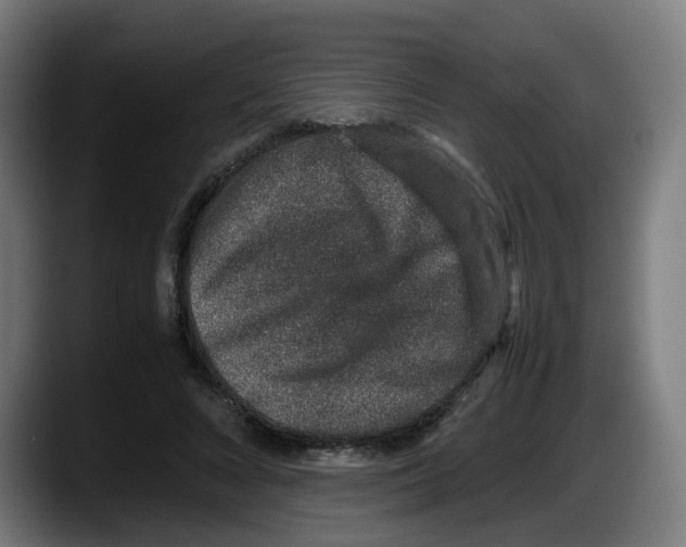 X0000087560688200705251801