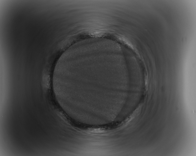 X0000087560689200705251801