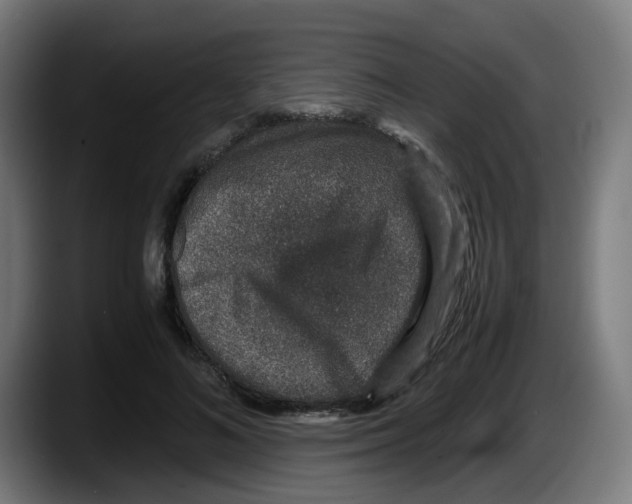 X0000087560692200705251800