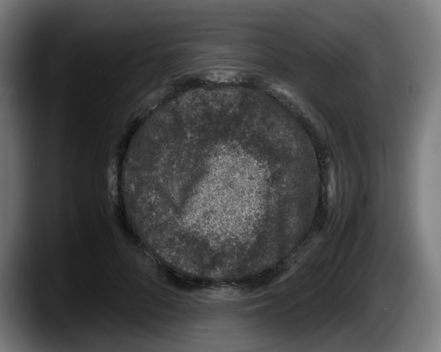 X0000087560696200705251800