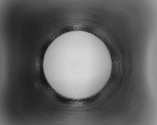 X0000087560698200705251800