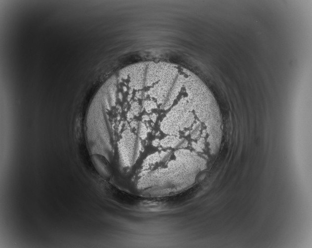 X0000087560699200705251800