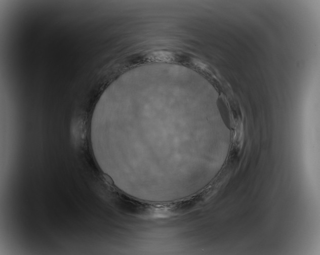 X0000087560701200705251800