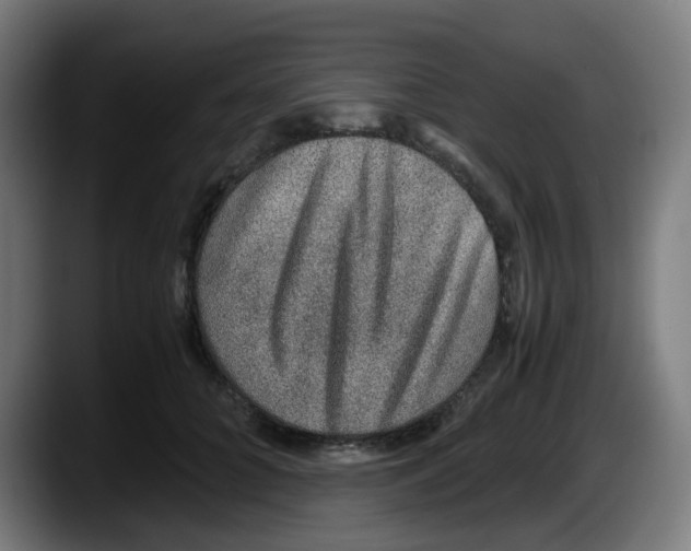 X0000087560704200705251800