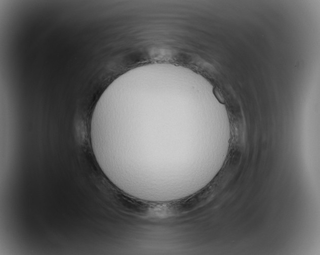 X0000087560705200705251800