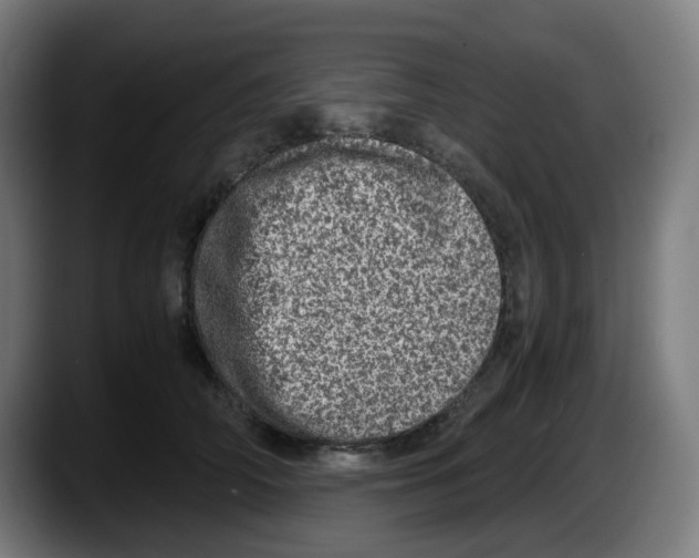 X0000087560706200705251800