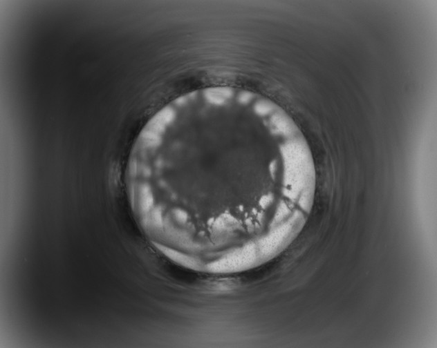 X0000087560711200705251800
